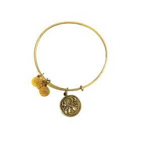 Alex And Ani Path of Life Energy Bangle Bracelet Rafaelian Gold Tone